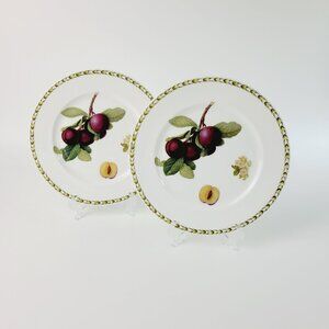 Vintage Hookers Fruit Plumb SALAD Plate Set Rosina Queens England Botanical Dish